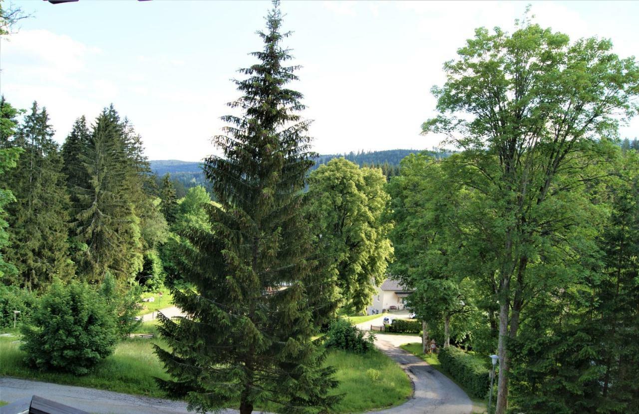 Penzion Sumavacek Bayerisch Eisenstein Esterno foto