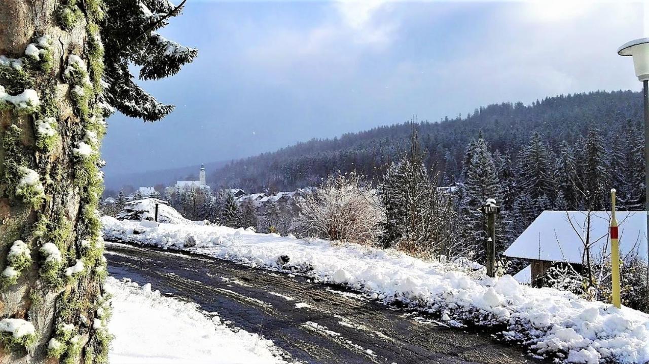 Penzion Sumavacek Bayerisch Eisenstein Esterno foto