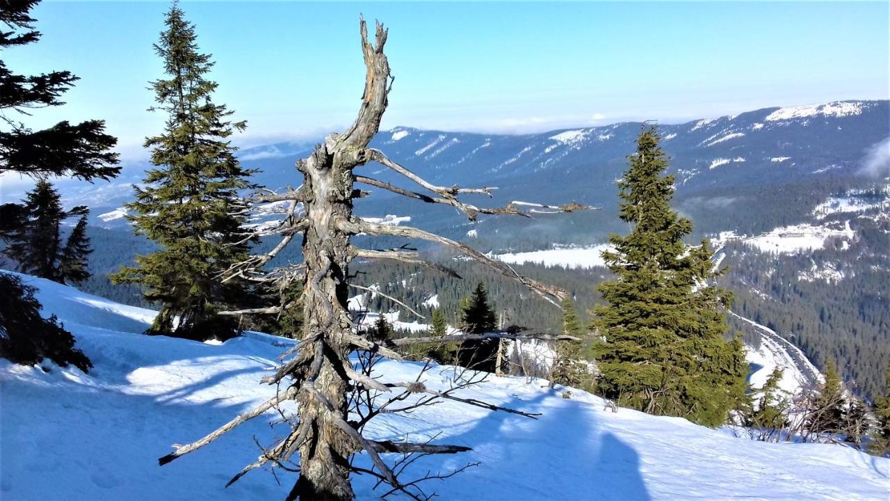 Penzion Sumavacek Bayerisch Eisenstein Esterno foto