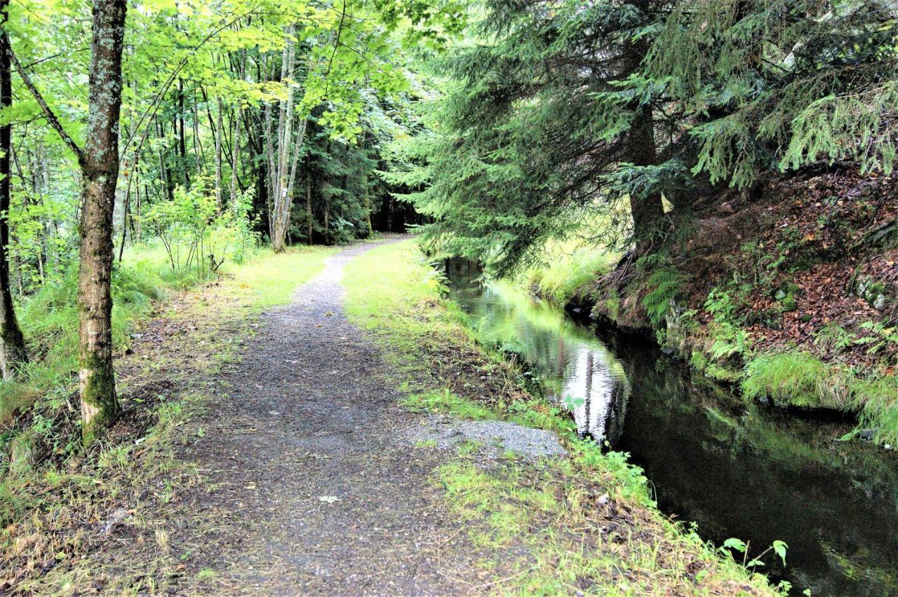 Penzion Sumavacek Bayerisch Eisenstein Esterno foto